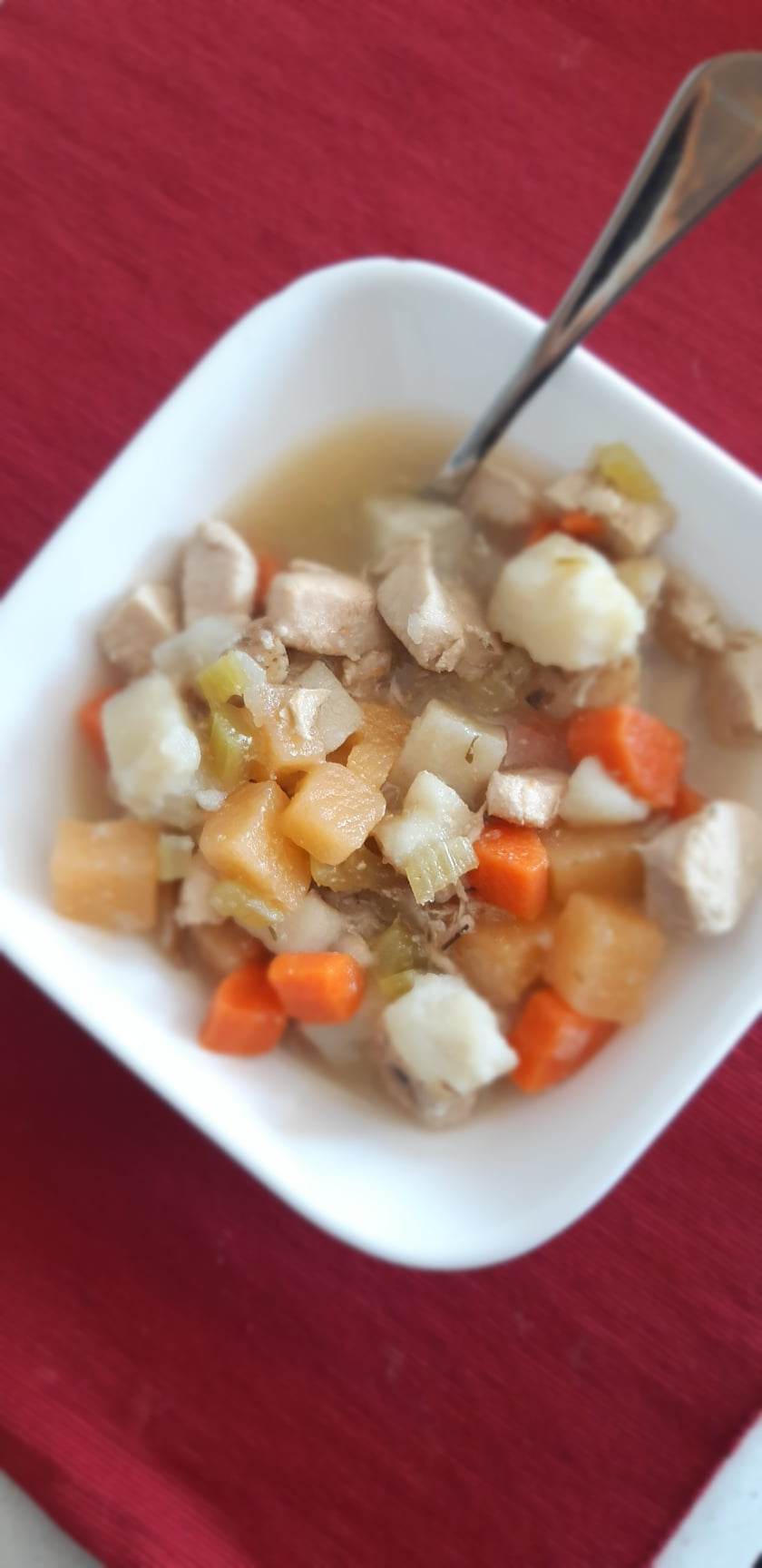 Chicken and Vegetable Soup